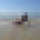 ���������� �����, ���� ������� ���������, 84 ����, ������������ ��� ������