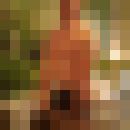 ,   , 47 ,   