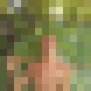 ,   , 45 ,   , 