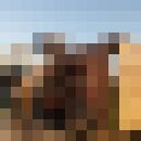 ���������� �����-���������, ���� ������� ���������, 39 ���, ������������ ��� ������, ����� � ���������