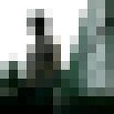 ���������� �����-���������, ���� ����� ������, 23 ����, ������������ ��� ������, ����� � ���������