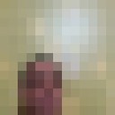  ,   , 48 ,     , c , 
