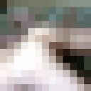  ,   Den51590, 44 ,   ,   , c , 