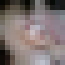  ,   , 36 ,   , 