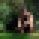  --,   , 67 ,   c 