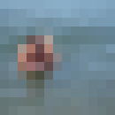  ,   Ischytebya, 51 ,   ,   , c 