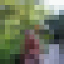 ���������� ���������, ���� ������� ������, 53 ����, ������������ ��� ������, ����� � ���������, c�������� ���������