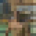 ���������� ������, ���� ������� ����, 37 ���, ������������ ��� ������, ����� � ���������