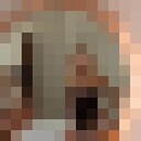 ���������� ������, ���� ������� ����������, 23 ����, ������������ ��� ������, ����� � ���������