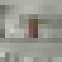 ���������� �������, ���� ����� ����, 23 ����, ������������ ��� ������, ����� � ���������, c�������� ���������, ���������