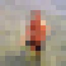  ,   Smit, 52 ,   ,   , c 