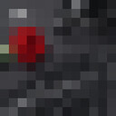 ���������� ������, ���� ������� �������, 53 ����, ������������ ��� c�������� ���������