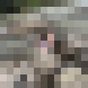  -,   , 33 ,   ,   , c 