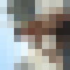  ,   Vano, 37 ,   