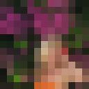  ,   Euphoria, 40 ,   ,   , c 