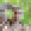 ���������� ��������, ���� ������� �����, 31 ���, ������������ ��� ������, ����� � ���������