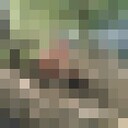 ����������.