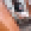 ���������� �����������, ���� ������� ����, 21 ���, ������������ ��� ������, ����� � ���������