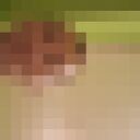  ,   , 46 ,   ,   , c , 