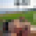 ���������� ������, ���� ������� �������, 44 ����, ������������ 