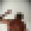  --,   , 33 ,   ,   , 