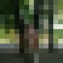 ���������� �������, ���� ������� ���������, 53 ����, ������������ ��� ������, ����� � ���������