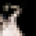 ���������� ������, ���� ����� ������, 22 ����, ������������ ��� ������, ����� � ���������