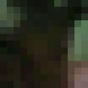  --,   , 41 ,   ,   , c , 