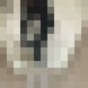 ���������� �������, ���� ������� ����������, 42 ����, ������������ ��� ������, ���������