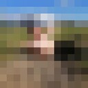   ,   , 34 ,   ,   , 