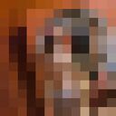 ���������� ������, ���� ����� ����, 21 ���, ������������ ��� ������, ����� � ���������