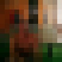  ,   , 51 ,   