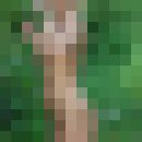  ,   , 50 ,   