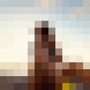 ���������� ����, ���� ������� ������, 48 ���, ������������ ��� ������, ����� � ���������, c�������� ���������, ���������