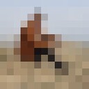  ,    , 29 ,   ,   , c 
