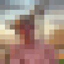 -,   , 21 ,   ,   , c 