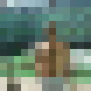  -,   , 45 ,   