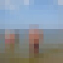  Alanya,   Cem, 54 ,   ,   