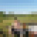 ���������� ��������, ���� ������� Ivan, 44 ����, ������������ ��� ������, ����� � ���������, c�������� ���������