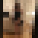  -,   , 31 ,   ,   , c 