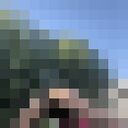 ,   , 44 ,   ,   , c , 