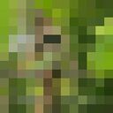 ���������� ������, ���� ������� ������, 23 ����, ������������ ��� ������, ����� � ���������