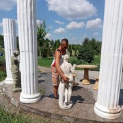  ,   Sova, 44 ,   