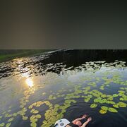 ���������� ������, ���� ������� �������, 31 ���, ������������ ��� ������, ����� � ���������