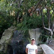  ,   , 48 ,   ,   , c 