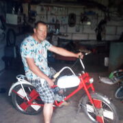  ,   , 43 ,   ,   