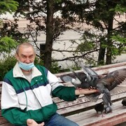 ���������� �����������, ���� ������� �������, 62 ����, ������������ ��� ������, ����� � ���������