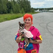 ���������� ������, ���� ������� ��������, 51 ���, ������������ ��� c�������� ���������