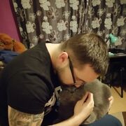 ���������� �����, ���� ������� ������, 29 ���, ������������ ��� ������, ����� � ���������