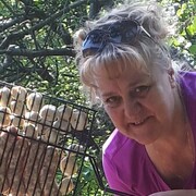  ,   , 54 ,     , c , 